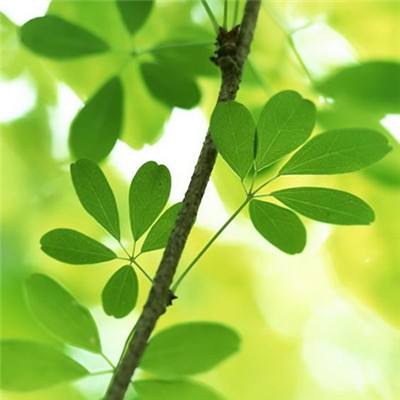 斗破诛天无限金币钻石版下载