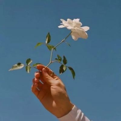 斗法天地手游下载